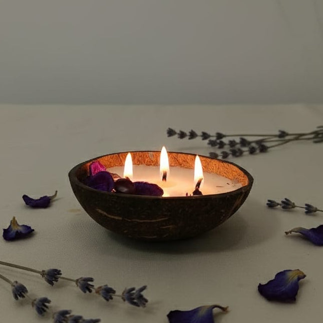 Coco Calm Triple Wick Candle - Natural Coconut Shell with Soothing Lavender Scent