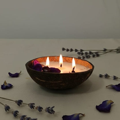 Coco Calm Triple Wick Candle - Natural Coconut Shell with Soothing Lavender Scent