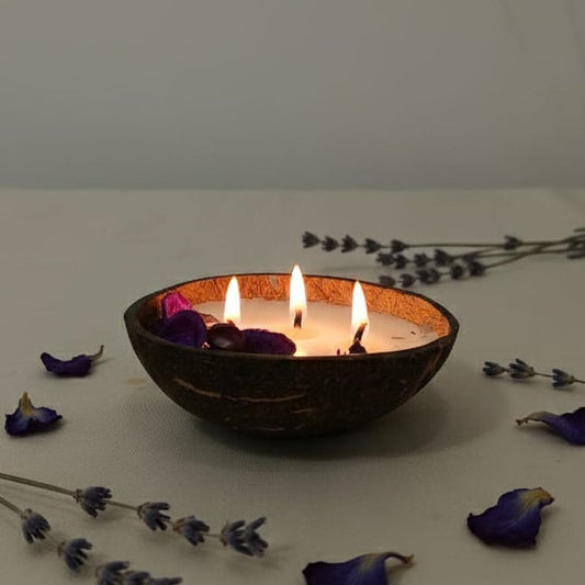 Coco Calm Triple Wick Candle - Natural Coconut Shell with Soothing Lavender Scent
